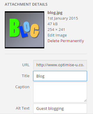 Five Rookie SEO Mistakes